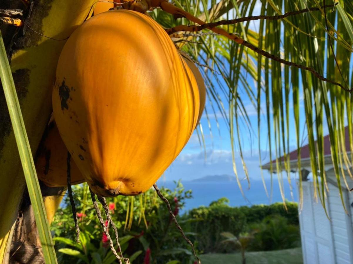 Villa Cajou Chambres D'Hotes Chez L'Habitant Et Zanzibar Cottage Trois-Rivières Zewnętrze zdjęcie