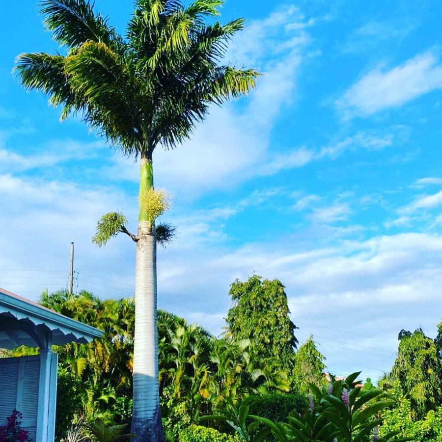 Villa Cajou Chambres D'Hotes Chez L'Habitant Et Zanzibar Cottage Trois-Rivières Zewnętrze zdjęcie